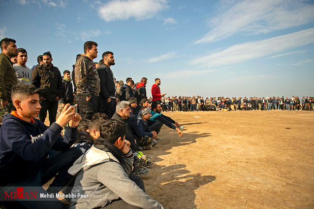 جنگ خونین سگ‌ها