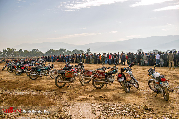 جنگ خونین سگ‌ها