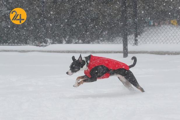 کولاک شدید در شمال شرق آمریکا