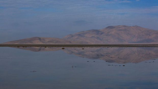 روز جهانی تالاب