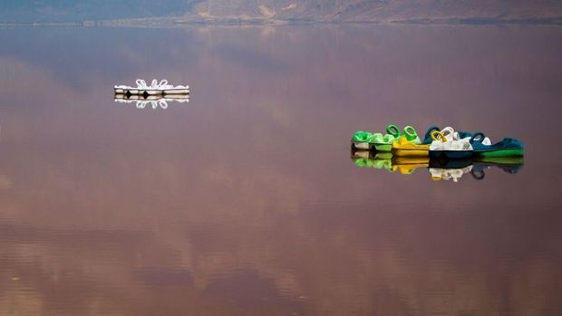 روز جهانی تالاب