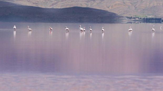 روز جهانی تالاب