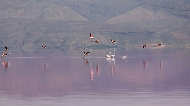 روز جهانی تالاب