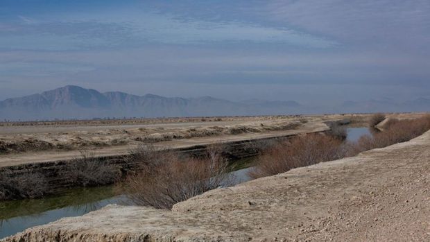 روز جهانی تالاب