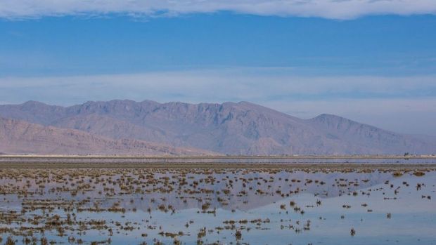 روز جهانی تالاب