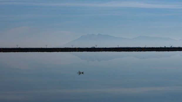 روز جهانی تالاب