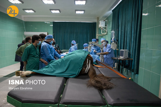 عمل جراحی پنج حیوان