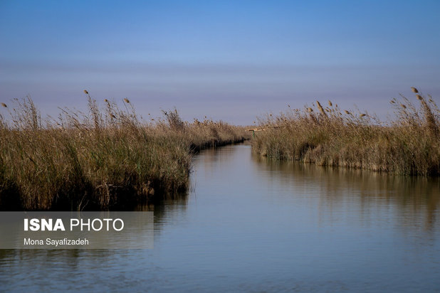 تالاب شادگان