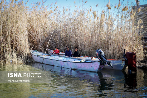 تالاب شادگان