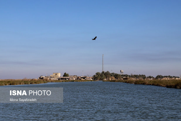 تالاب شادگان