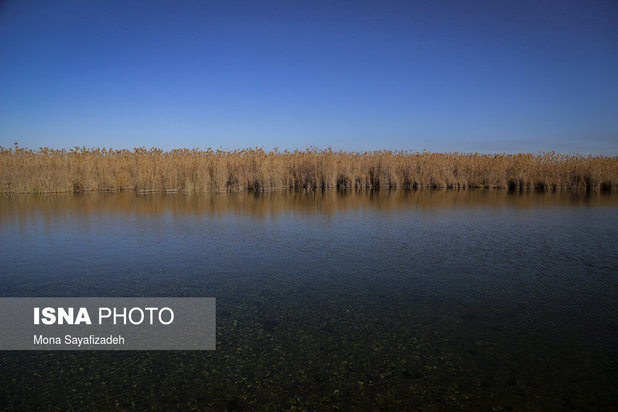 تالاب شادگان