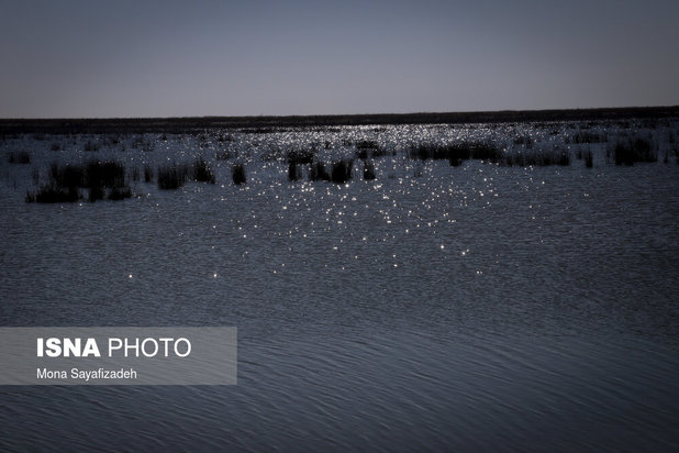 تالاب شادگان