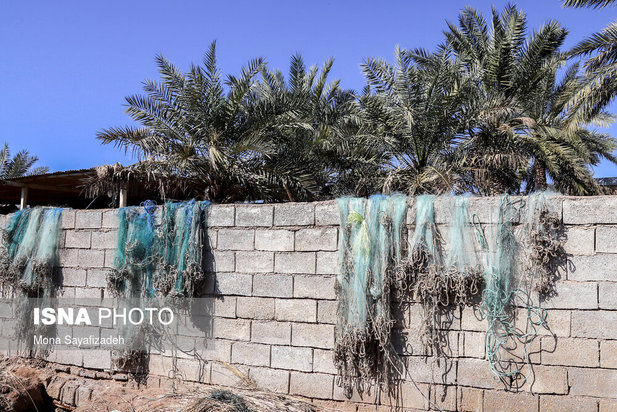 تالاب شادگان