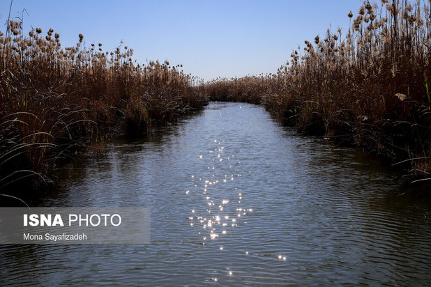 تالاب شادگان