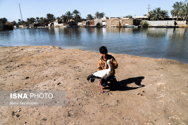 تالاب شادگان