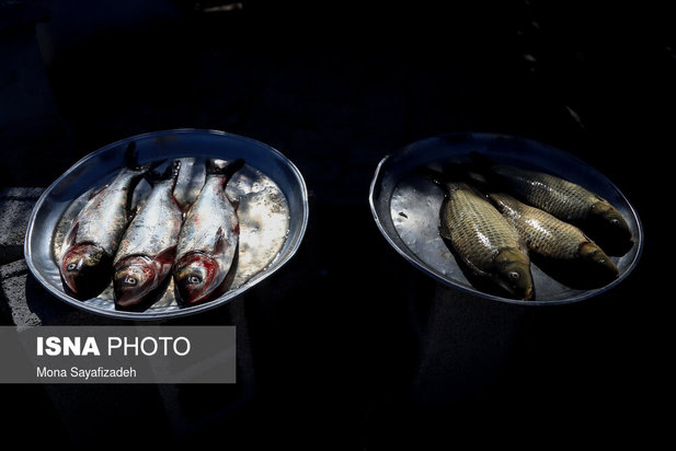 تالاب شادگان