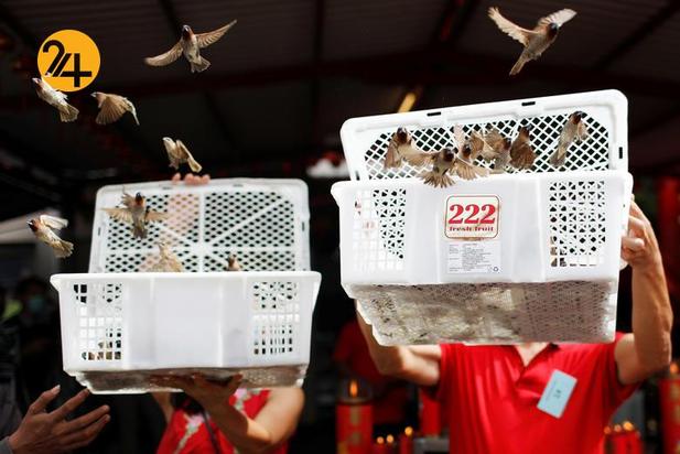 جشن سال نو چینی