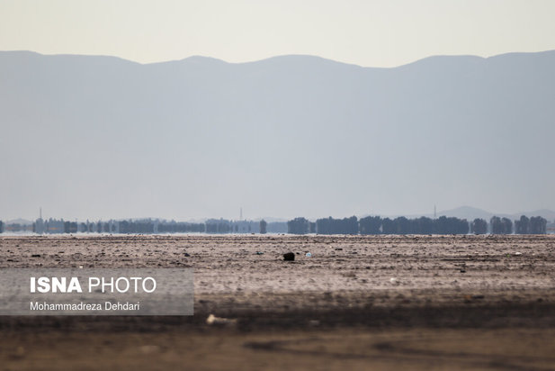 داغ خشکی بر دل «مهارلو »