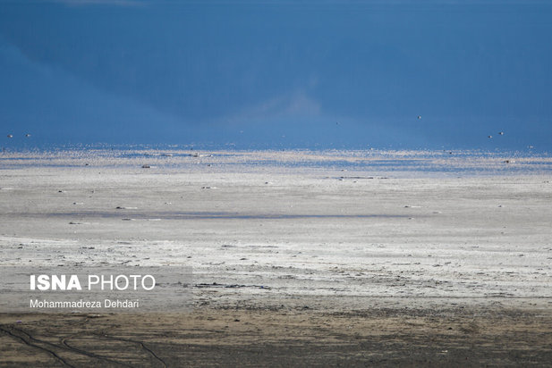 داغ خشکی بر دل «مهارلو »