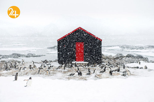 مسابقه عکاسی ایندپندنت