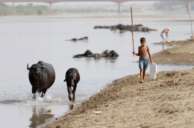 کوت عبدالله در میان فاضلاب