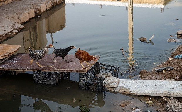 کوت عبدالله در میان فاضلاب