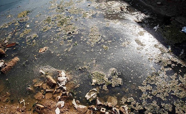 کوت عبدالله در میان فاضلاب