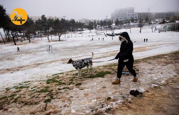 بیت المقدس سفیدپوش شد