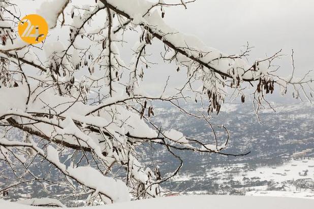 بیت المقدس سفیدپوش شد