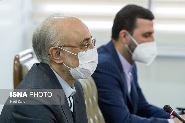 دیدار رافائل گروسی، مدیرکل آژانس بین المللی انرژی اتمی با علی اکبر صالحی