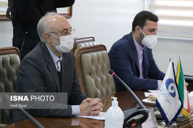 دیدار رافائل گروسی، مدیرکل آژانس بین المللی انرژی اتمی با علی اکبر صالحی