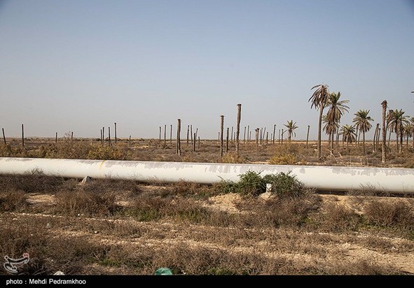 کوه‌های پسماند در دل تالاب شادگان