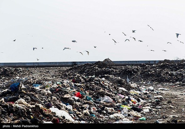 کوه‌های پسماند در دل تالاب شادگان