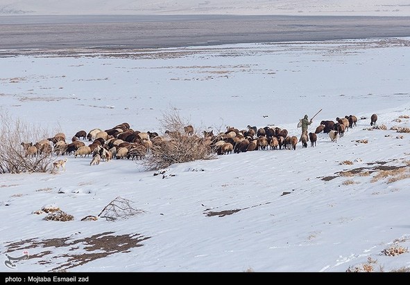 طبیعت زمستانی دریاچه ارومیه