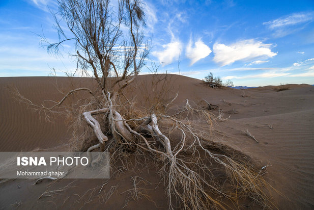زیباترین تصاویر از کویر مصر