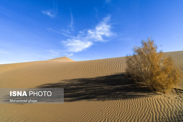 زیباترین تصاویر از کویر مصر