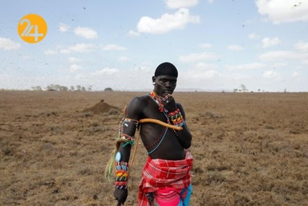 هجوم میلیون‌ها ملخ به مزارع کنیا