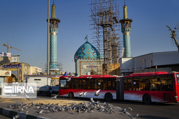 مهربانی با پرندگان