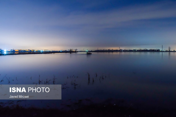 قو‌های مهاجر تالاب سرخ‌رود