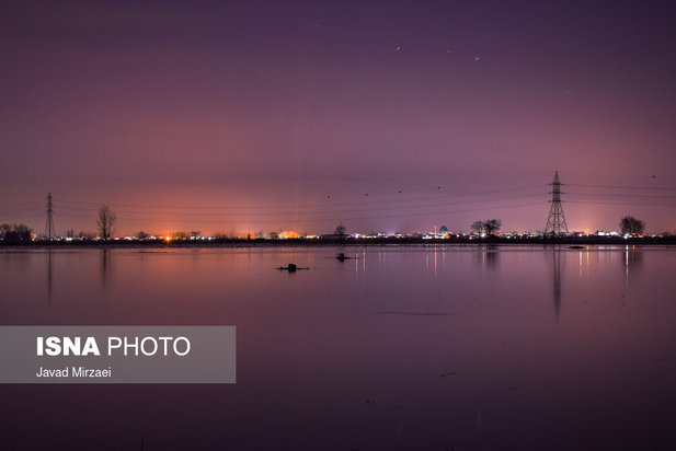 قو‌های مهاجر تالاب سرخ‌رود