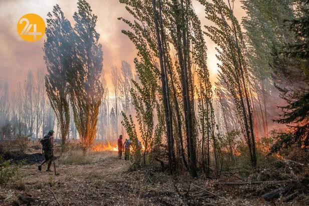 آتش‌سوزی در جنگل‌های آرژانتین