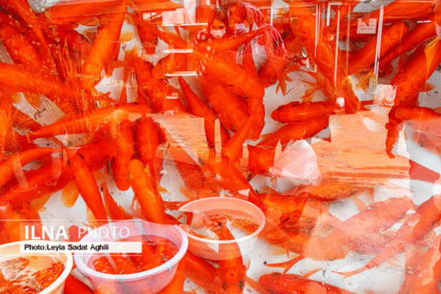 چند گام تا بهار ۱۴۰۰