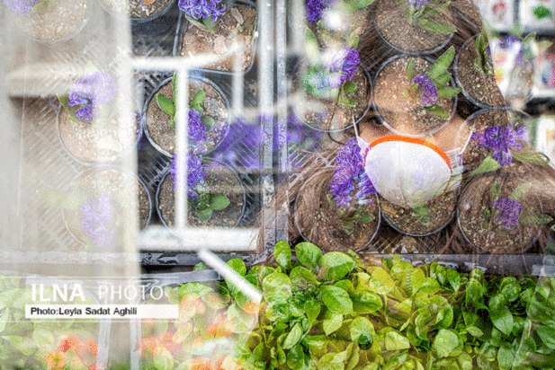 چند گام تا بهار ۱۴۰۰