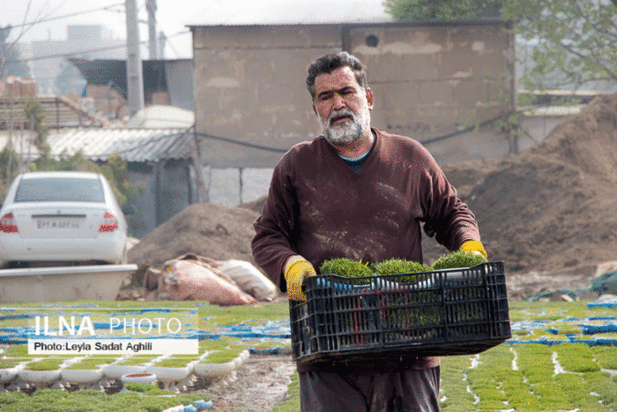 چند گام تا بهار ۱۴۰۰
