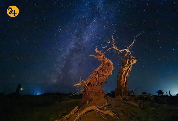 مسابقه عکاسی با موبایل ۲۰۲۰