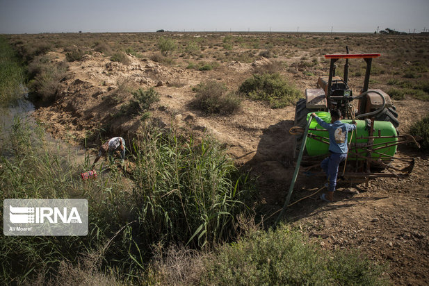 کمبود آب شرب در روستای طاهریه