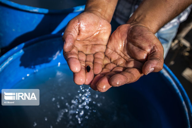 کمبود آب شرب در روستای طاهریه