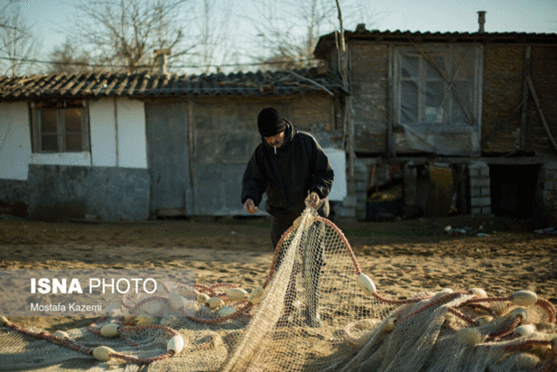 آخرین روزهای صید ماهی در مازندران