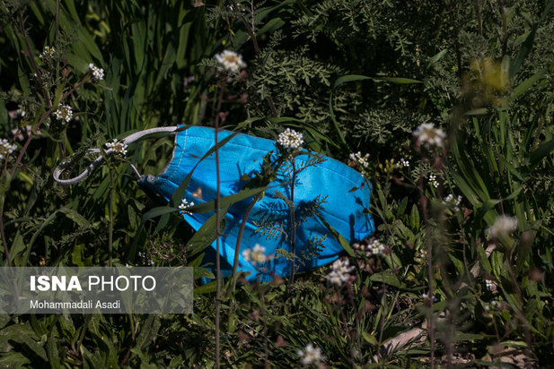 ماسک‌های رها شده در طبیعت