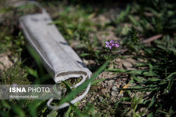 ماسک‌های رها شده در طبیعت